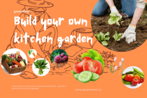 growing vegetables at home in pots and containers