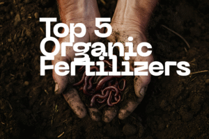 Top 5 Organic Fertilizers for home gardening — neem cake, bone meal, and seaweed extract arranged on a table to show natural plant nutrients.