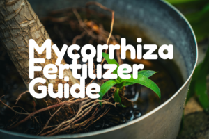 Mycorrhiza fertilizer improving plant root growth and soil nutrient absorption