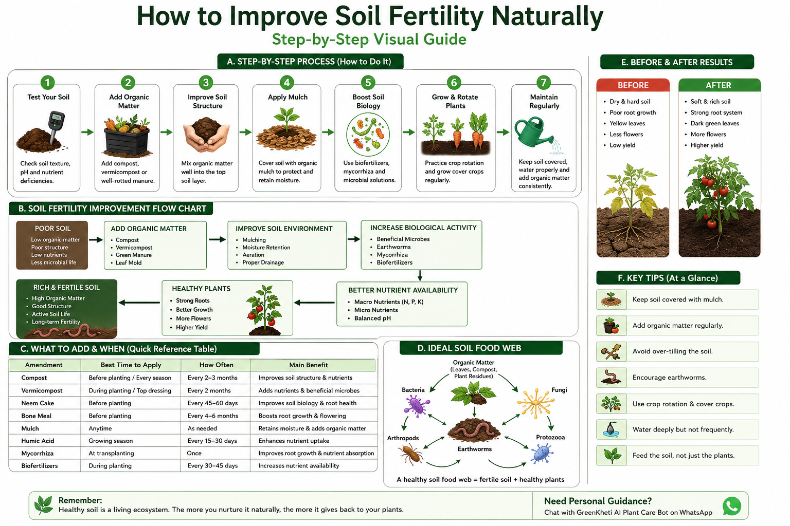 Step-by-step guide showing how to improve soil fertility naturally